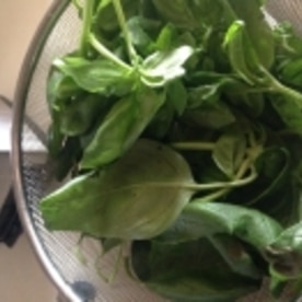 簡単 アーモンドで バジルソース レシピ 作り方 By Mama S Cafe 123 楽天レシピ 簡単 アーモンドで バジルソース レシピ 作り方 By Mama S Cafe 123 楽天レシピ